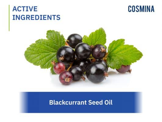 [:th]Blackcurrant Seed Oil[:]