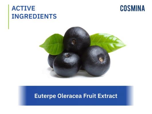 Euterpe Oleracea Fruit Extract