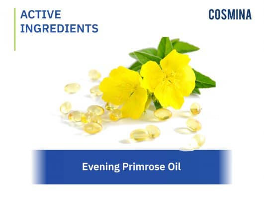 [:th]  Evening Primrose Oil[:]