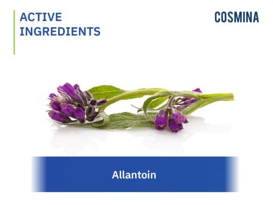 [:th]Allantoin (สารสกัดจากต้น Comfrey)[:]