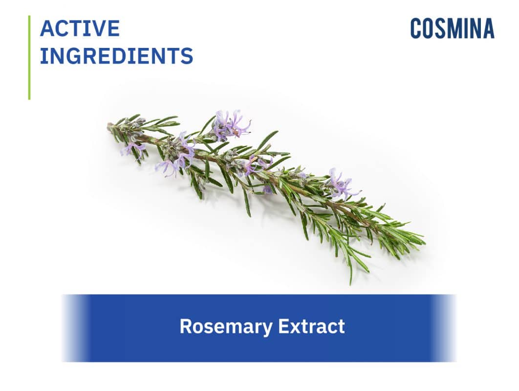 [:th]Rosemary Extract[:]