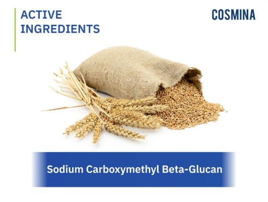 [:th]Sodium Carboxymethyl Beta-Glucan[:]