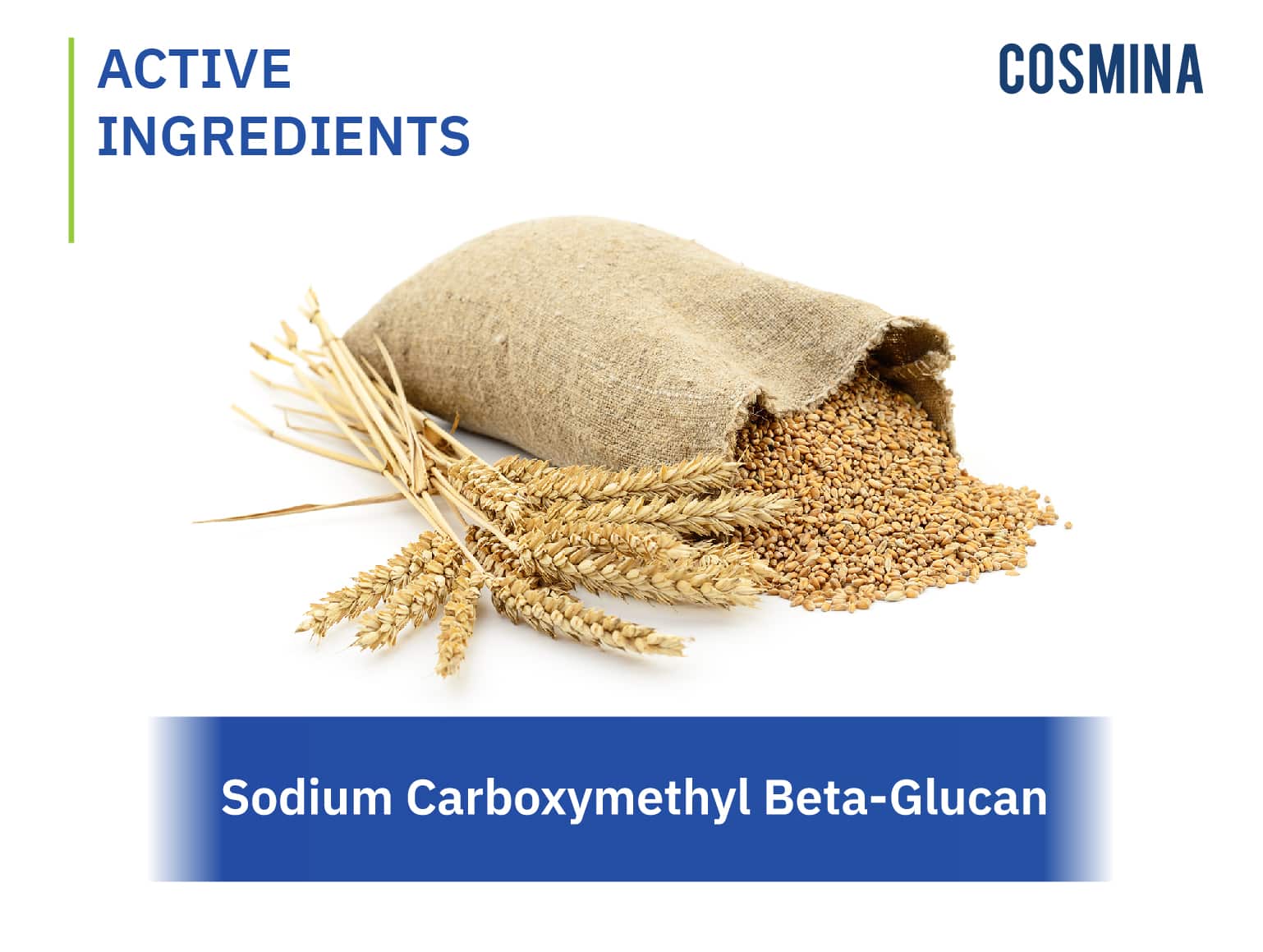 [:th]Sodium Carboxymethyl Beta-Glucan[:]