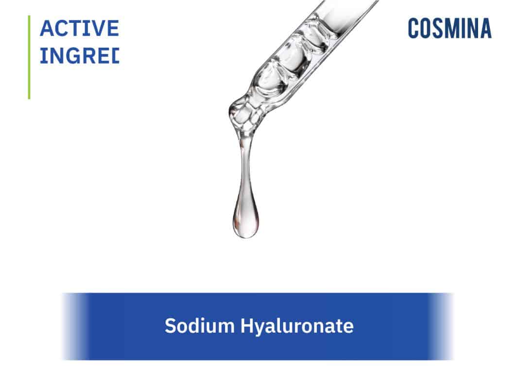 [:th]sodium hyaluronate[:]