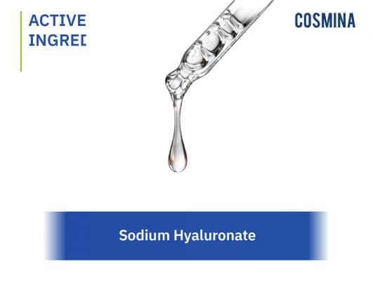 [:th]sodium hyaluronate[:]