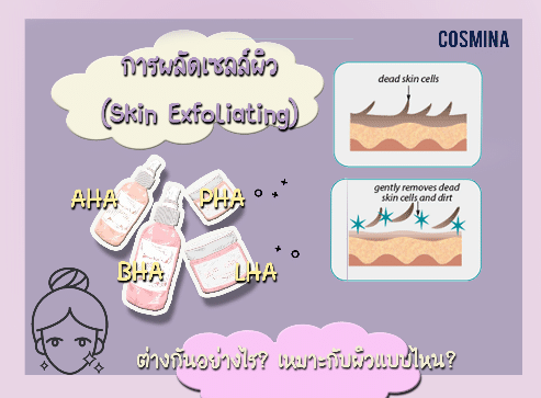 [:th]การผลัดเซลผิว[:]