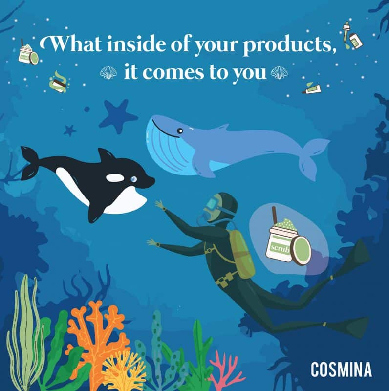 [:th]เครื่องสำอางรักษ์โลก หรือ Clean Beauty[:]