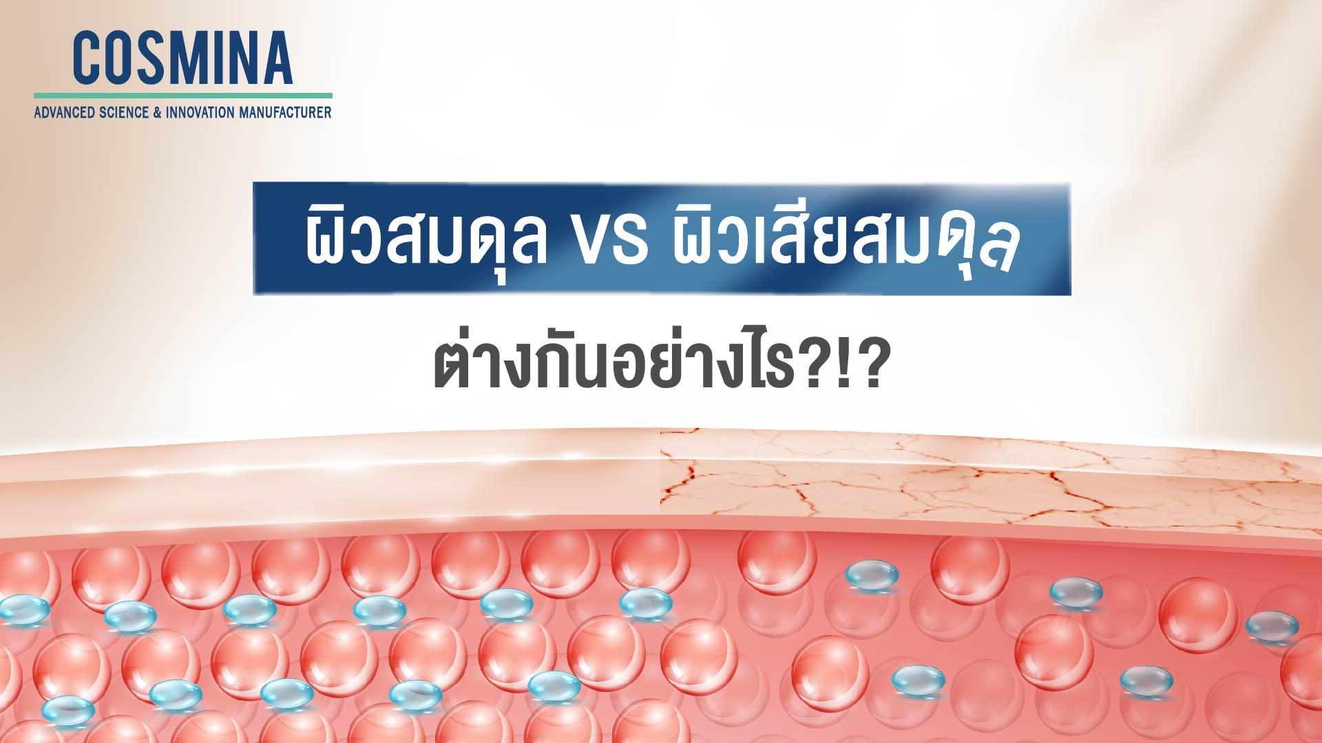 ผิวสมดุล VS ผิวเสียสมดุล ต่างกันอย่างไร