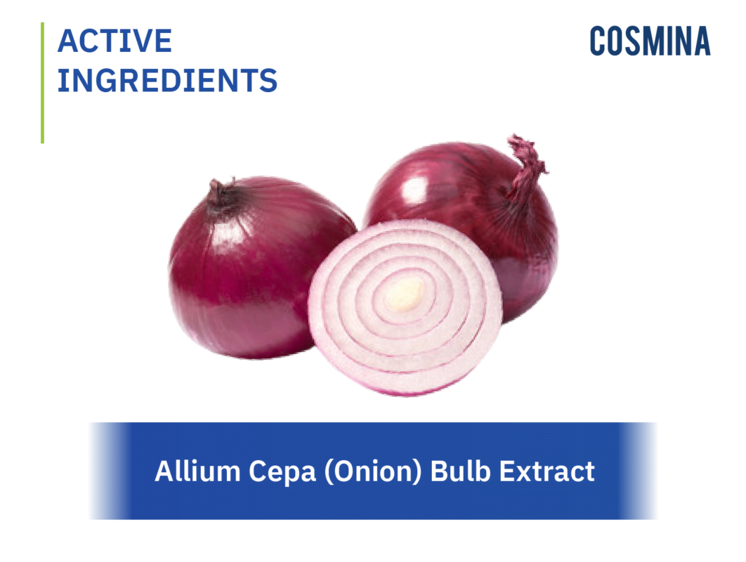 [:th]Allium Cepa (Onion) Bulb Extract[:en-us]Allium-Cepa-Onion-Bulb[:]