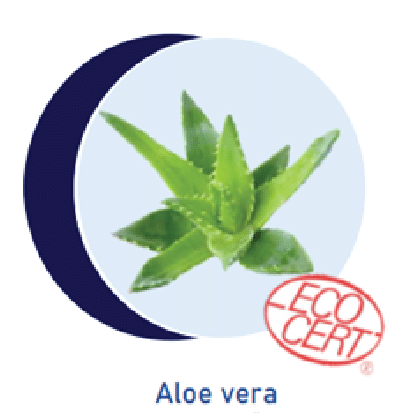 [:th]Aloe vera[:]