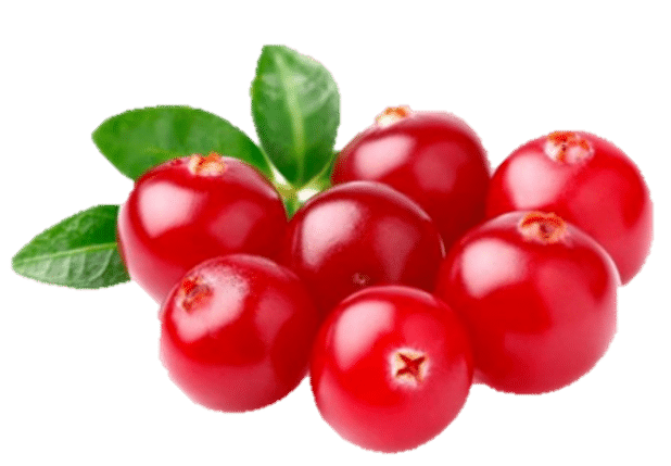 [:th]Arctic Lingonberry[:]