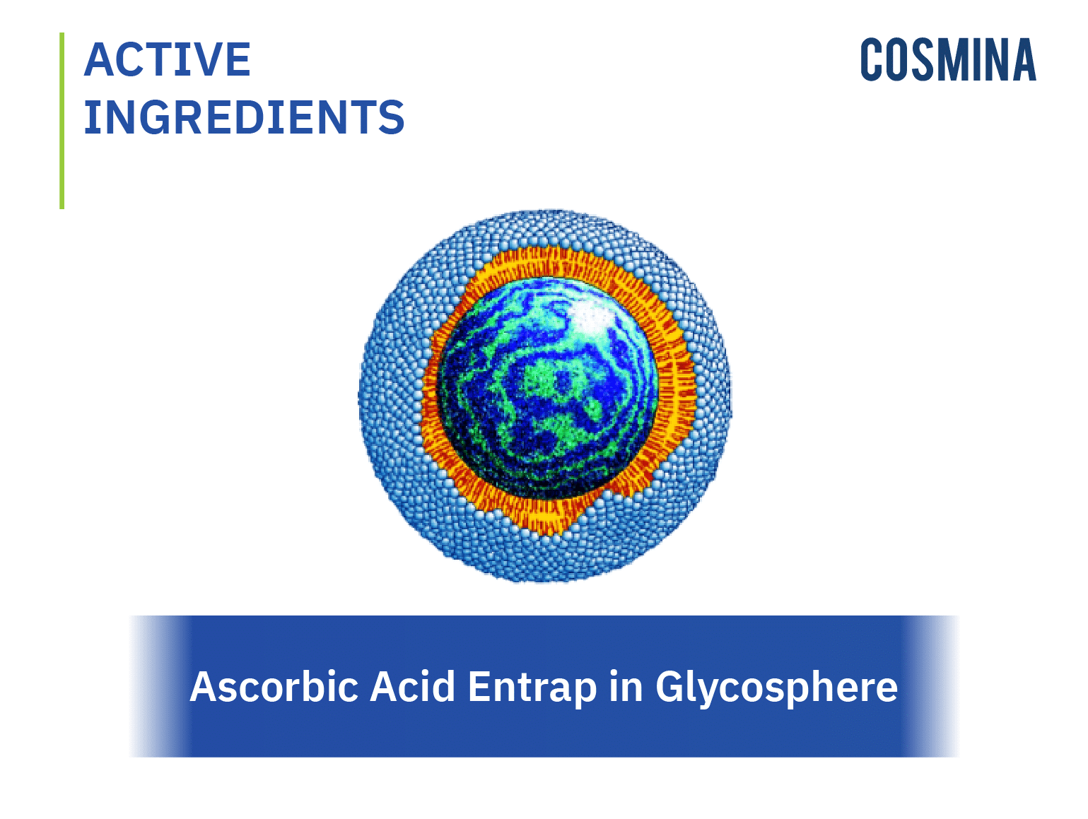 [:en-us]Ascorbic Acid Entrap in Glycosphere[:]