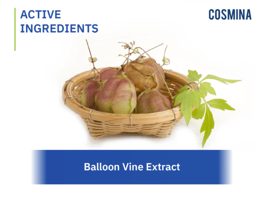 [:th]Ballon Vine Extract[:]