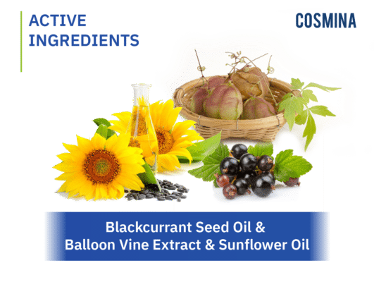 [:th]Blackcurrant Seed, Balloon Vine, Sunflower[:]