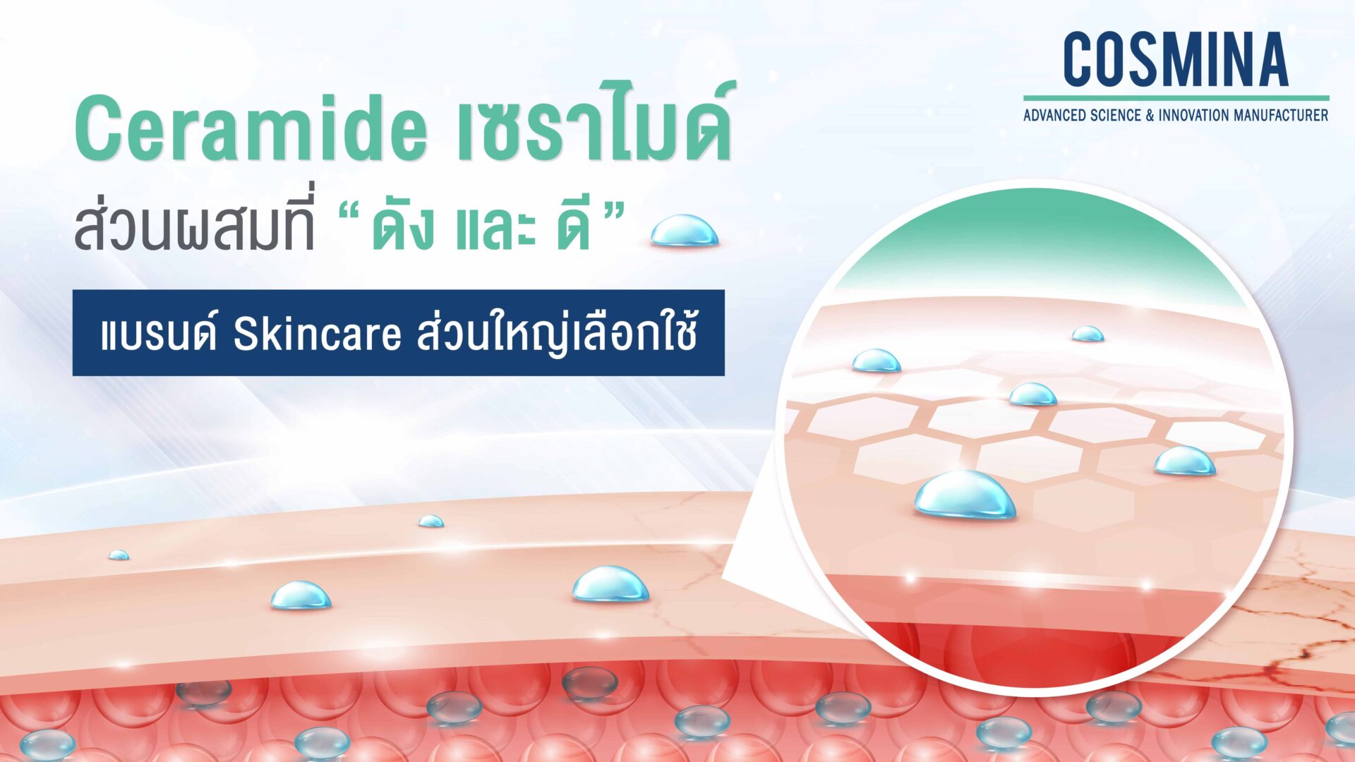 Cearamide (เซราไมด์) ส่วนผสมที่ ดัง และ ดี