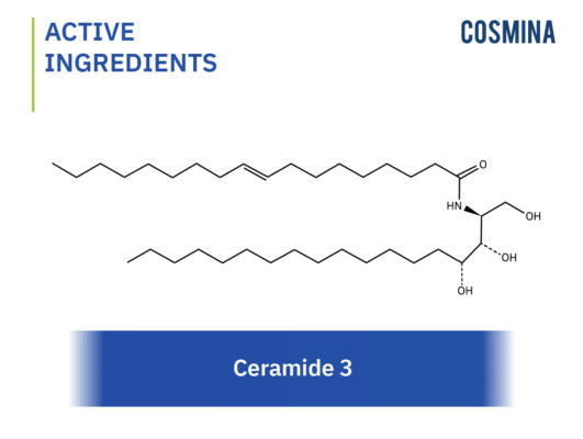 [:th]Ceramide[:en-us]Ceramide 3[:]