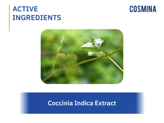 [:th]Coccinia Indica Extract[:]