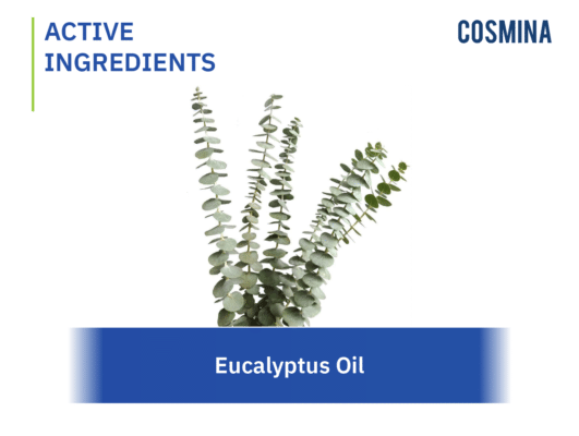 [:en-us]Eucalyptus Oil[:]
