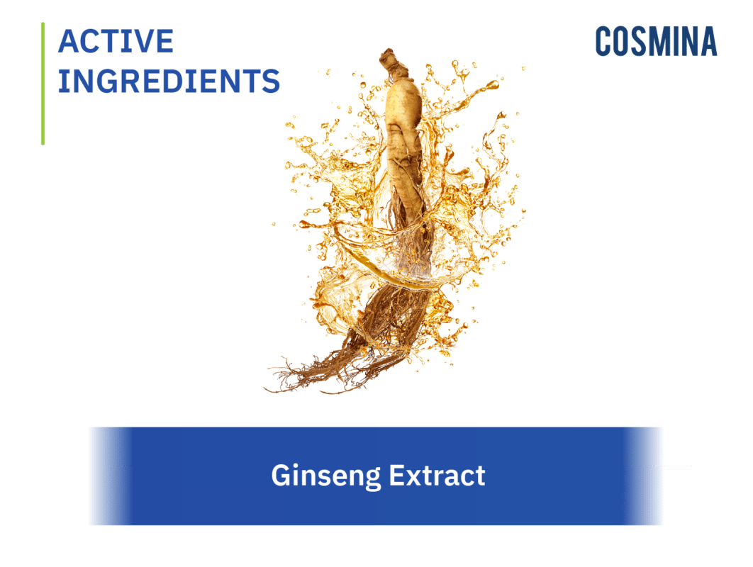 [:th]Ginseng Extract[:en-us]Ginseng Extract[:]