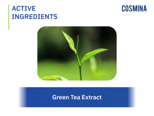 [:th]Green Tea Extract[:]