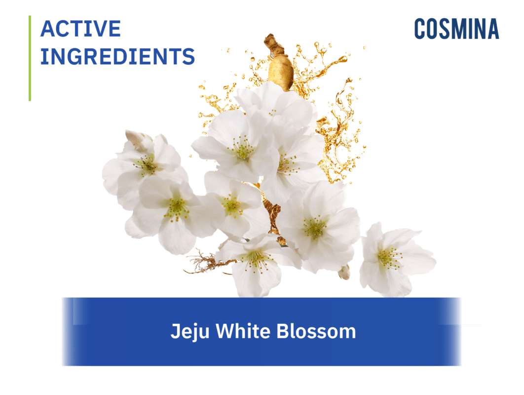 [:th]Jeju White Blossom[:]