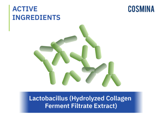 [:th]Lactobacillus (Hydrolyzed Collagen Ferment Filtrate Extract)[:]