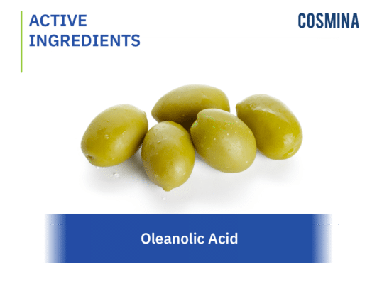 [:th]Oleanolic Acid[:en-us]Oleanolic Acid[:]