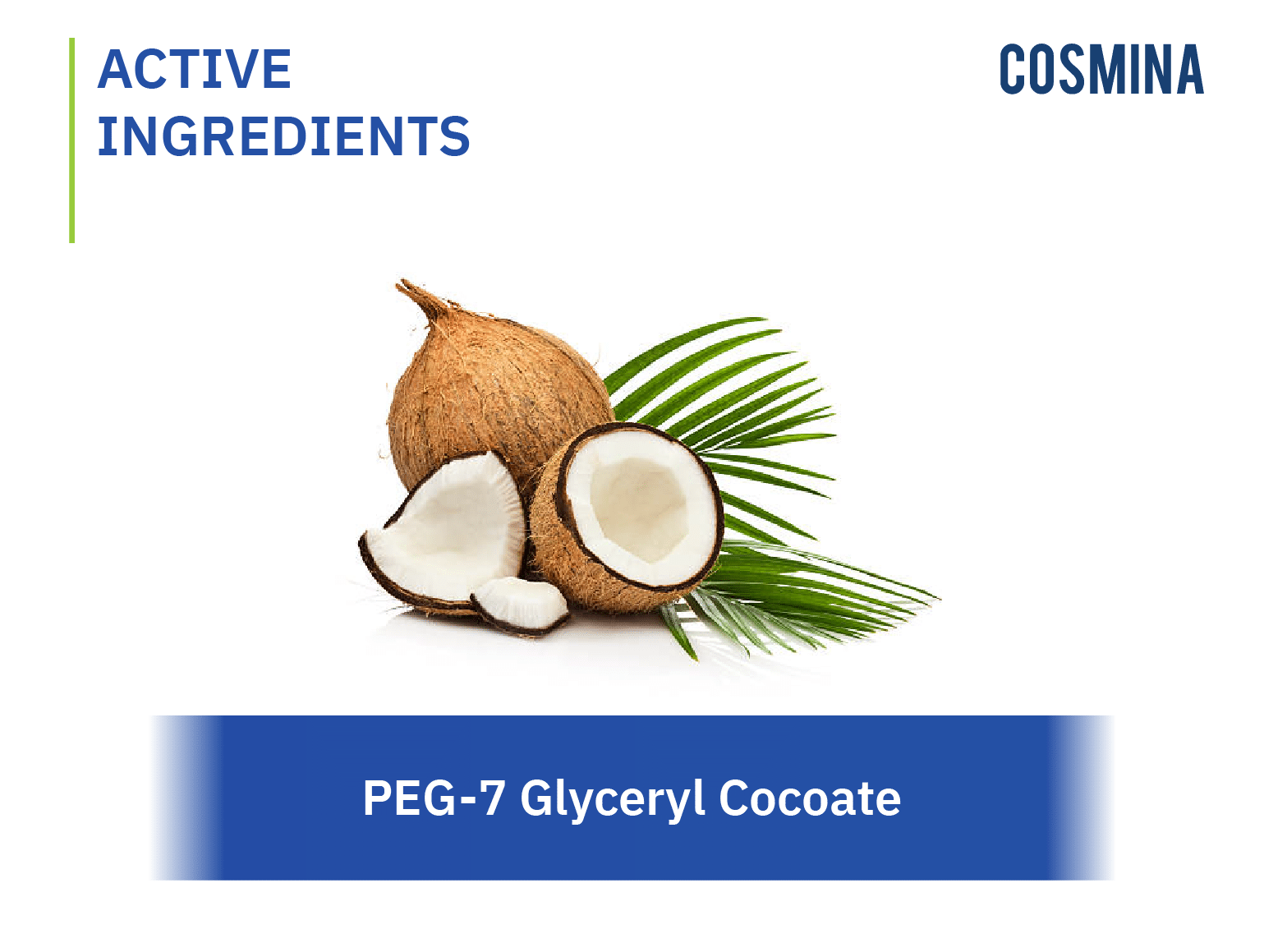 [:th]PEG-7 Glyceryl Cocoate[:]