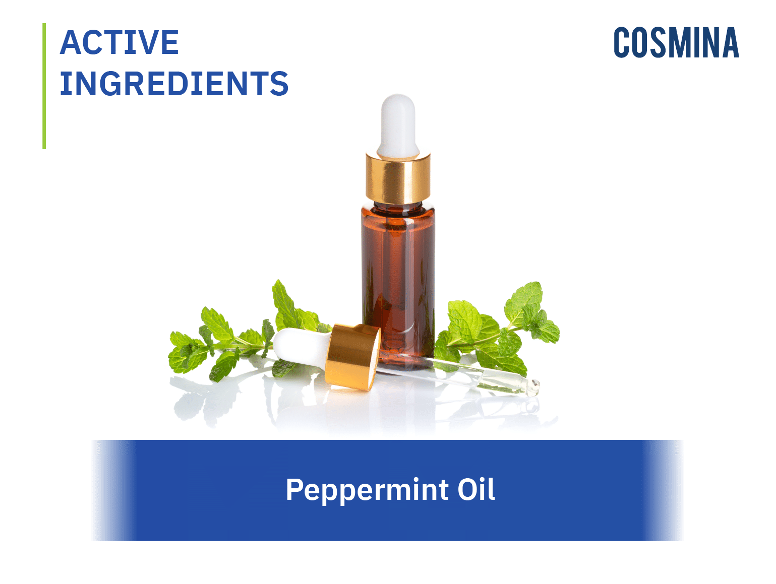 [:th]Peppermint Oil[:en-us]Peppermint Oil[:]
