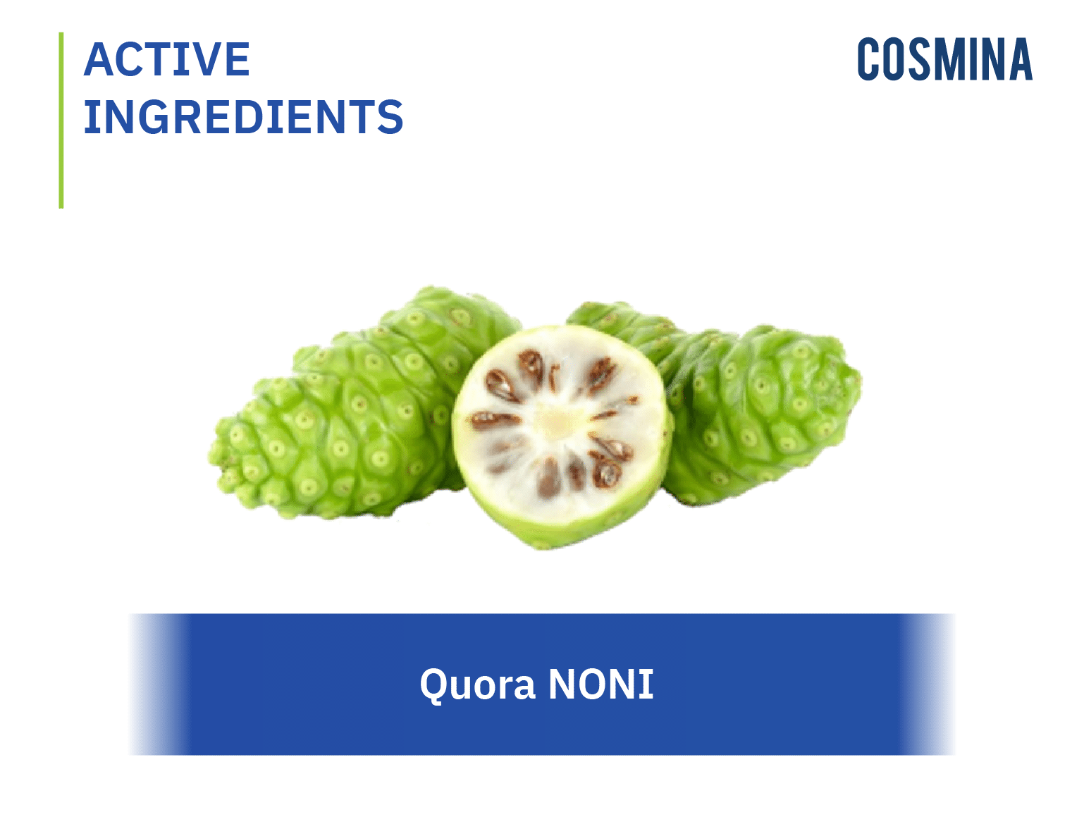 [:th]Quora NONI[:]