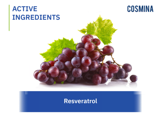 [:th]Resveratrol[:en-us]Resveratrol[:]