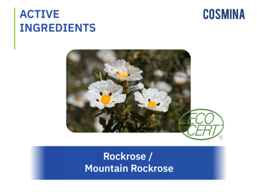 [:th]Mountain Rockrose Extract[:]