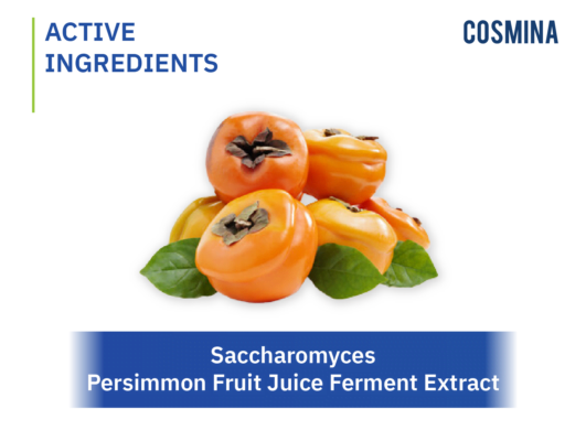 [:th]Saccharomyces / Persimmon Fruit Juice Ferment Extract[:]