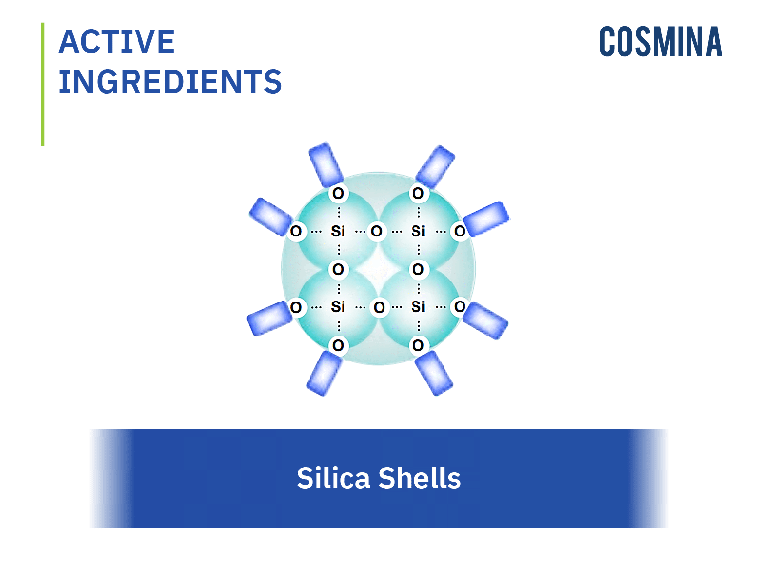 [:en-us]Silica Shells-01[:]