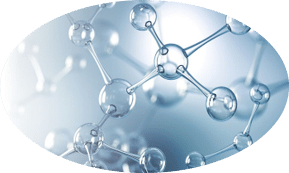 [:en-us]Sodium Hyaluronate Crosspolymer[:]