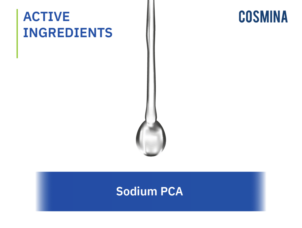 [:th]Sodium PCA[:]