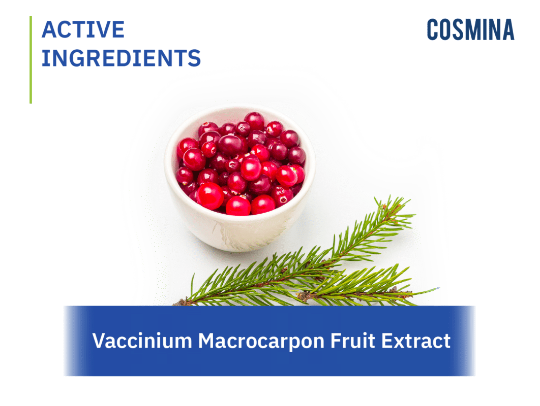[:th]Vaccinium Macrocarpon Fruit Extract[:en-us]Vaccinium Macrocarpon Fruit Extract[:]