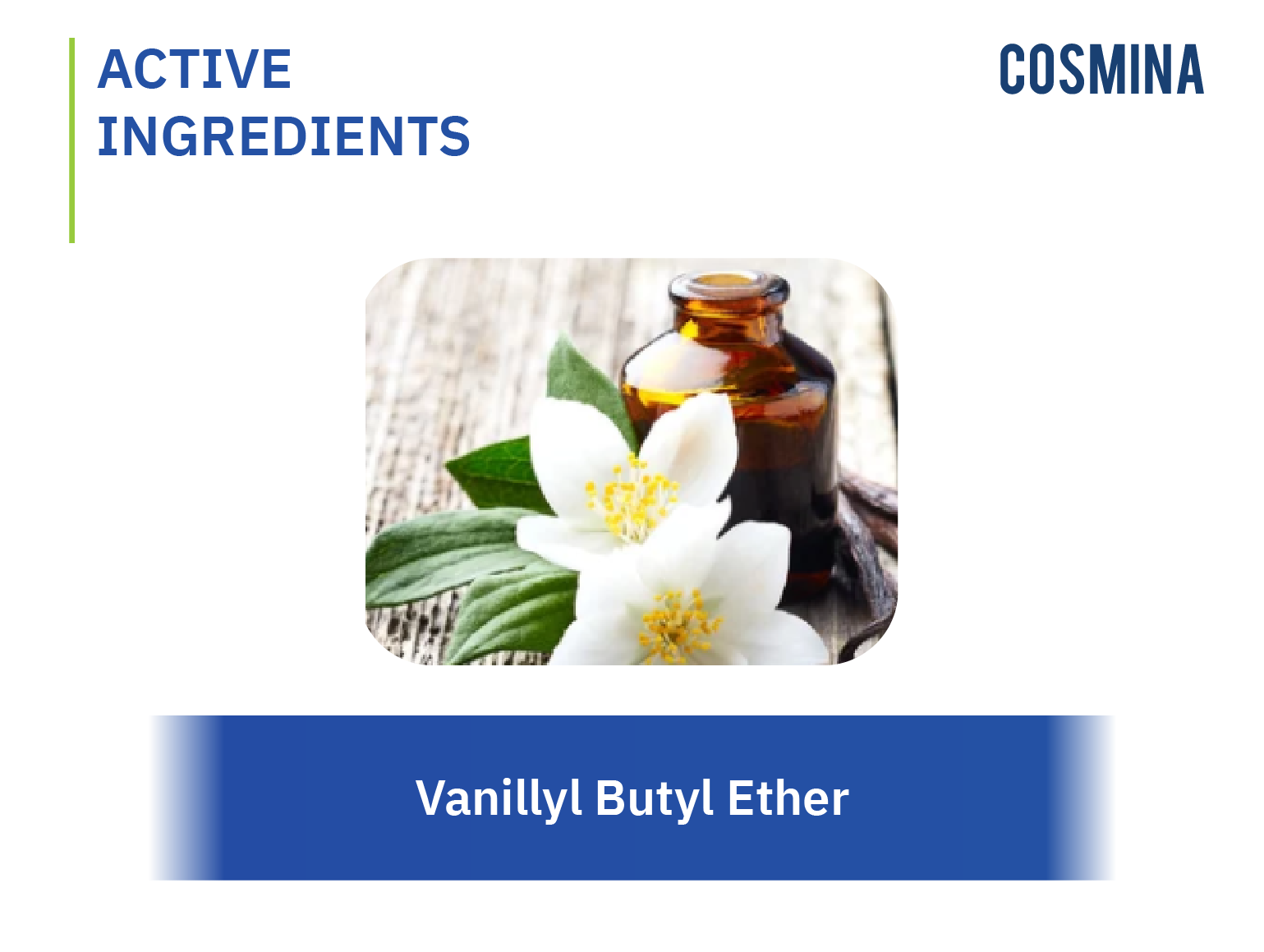 [:th]Vanillyl Butyl Ether[:]