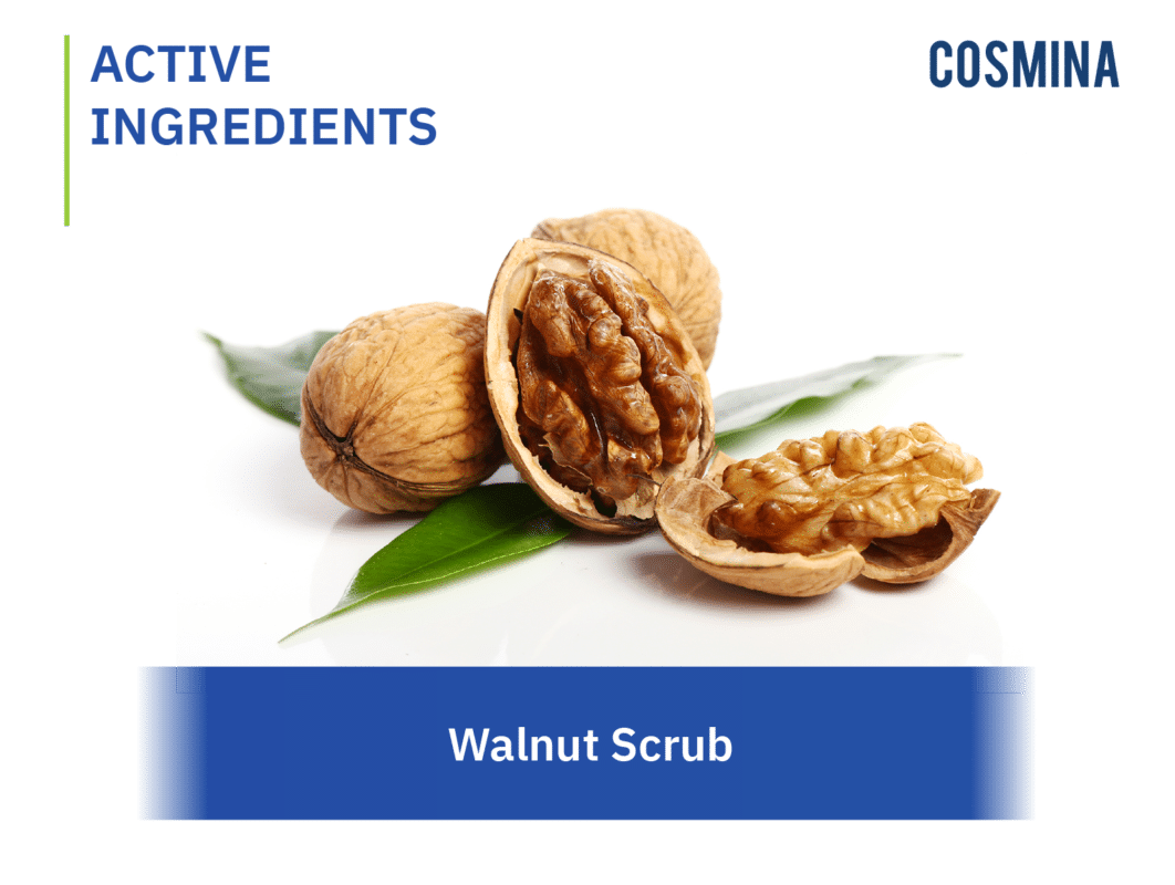 [:th]Walnut Scrub (สารสกัดวอลนัท)[:en-us]Walnut Scrub[:]