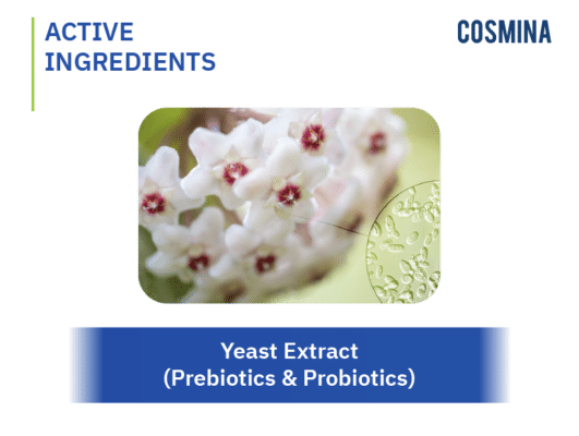[:th]Yeast Extract (Prebiotics & Probiotics)[:en-us]Yeast Extract (Prebiotics & Probiotics)[:]