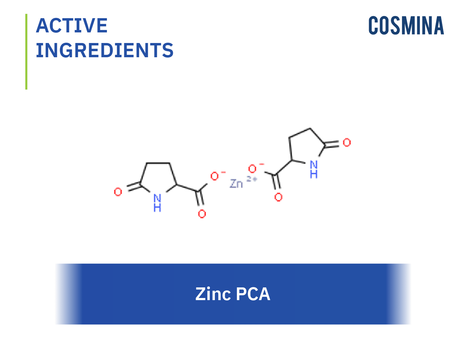 [:th]Zinc PCA-01[:]