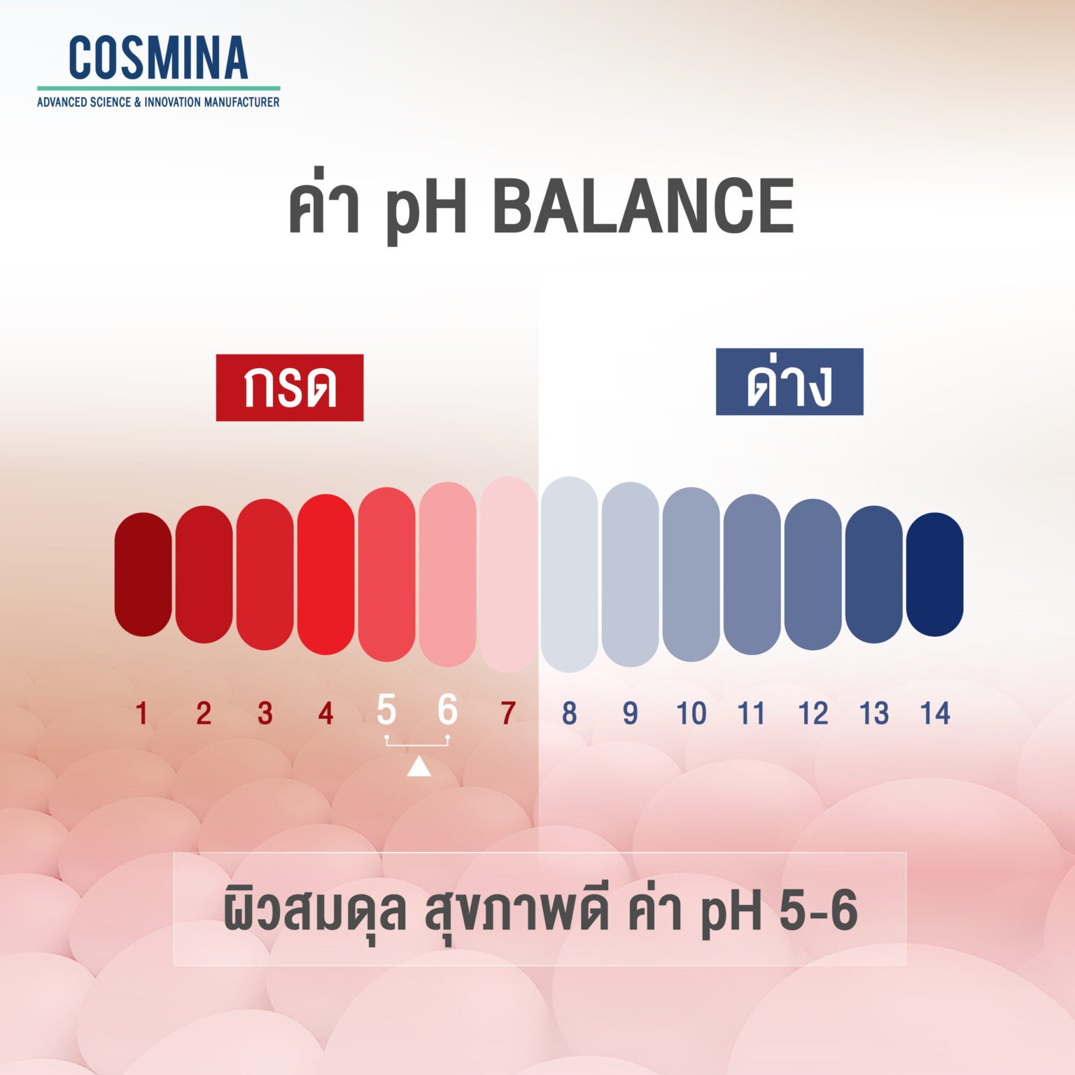 ค่า ph balance