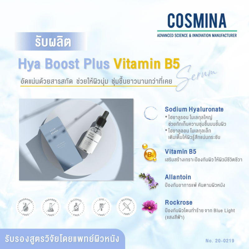 [:th]2.6.10 TH-E-Com - Hya Boost Plus Vit B5 serum (AAZ)[:]
