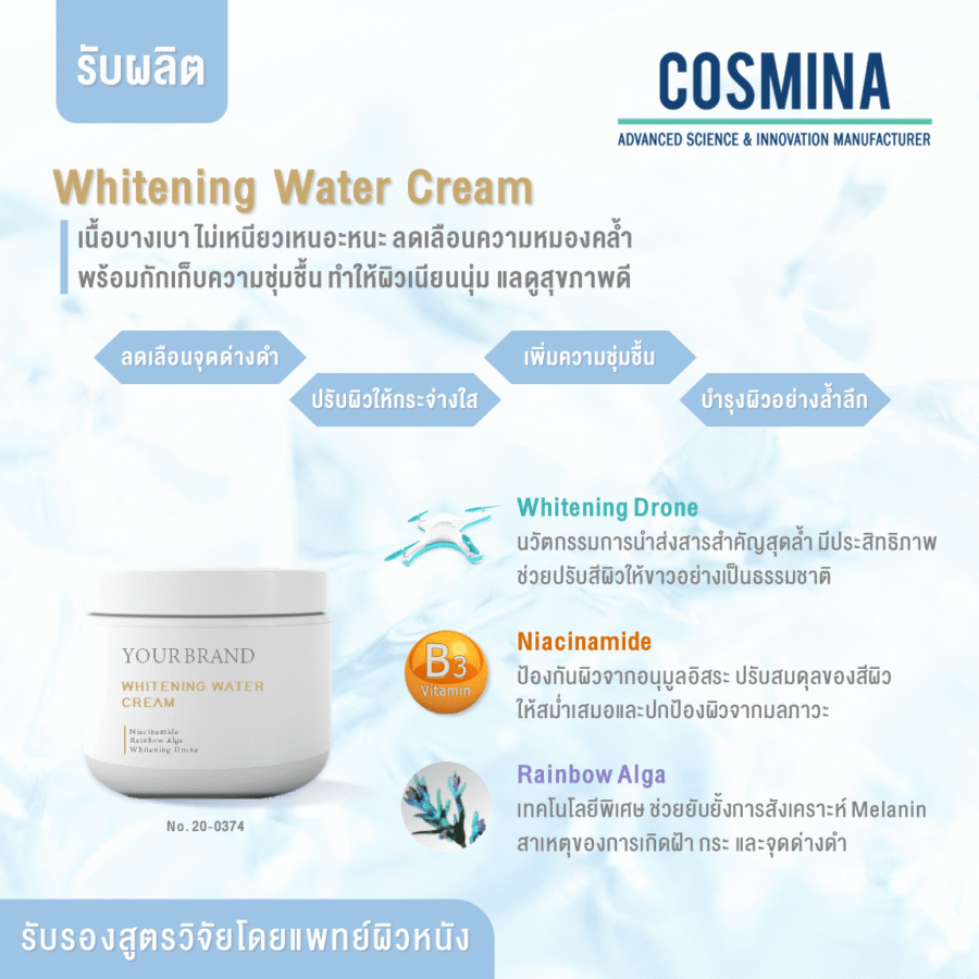 [:th]2.9.10 TH-E-Com - Whitening Water Cream (AAZ)[:]