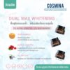 DUAL MAX WHITENING CREAM-th