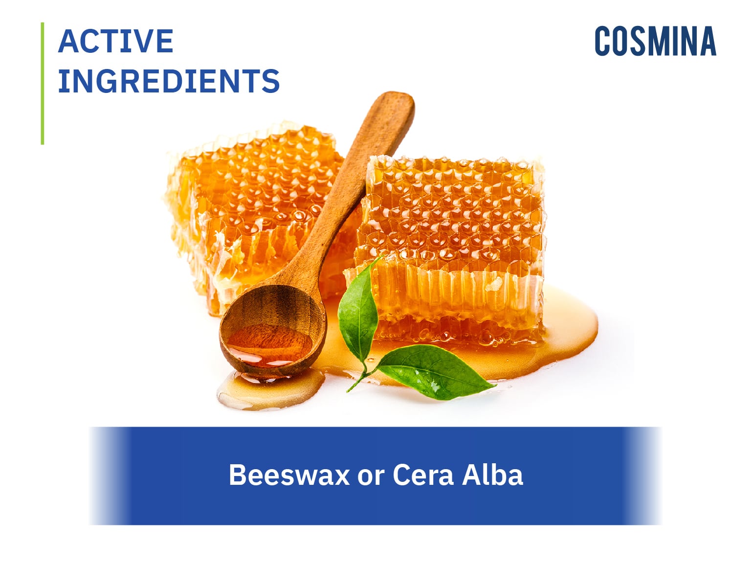 Beeswax หรือ Cera Alba (สารสกัดจากรวงผึ้ง)
