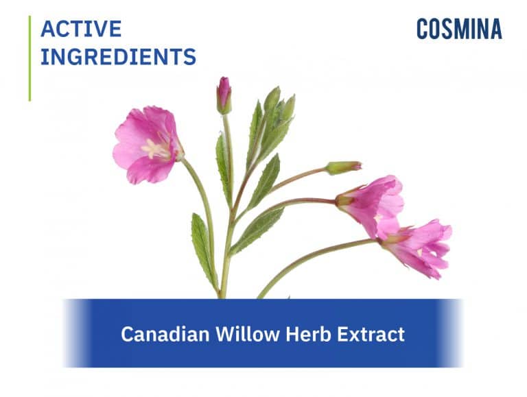 Canadian Willow Herb Extract COSMINA