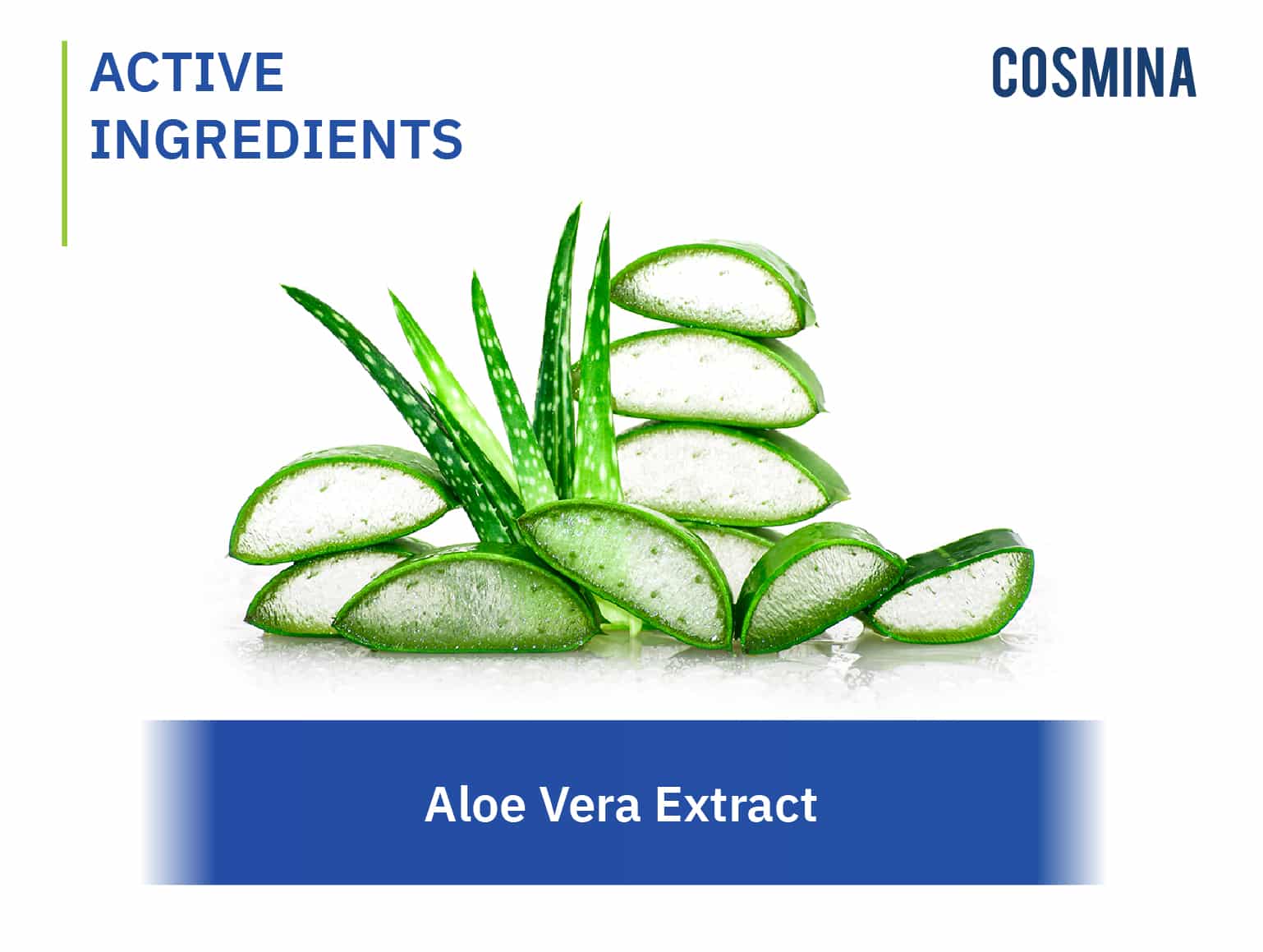 [:th]Aloe Vera Extract[:]