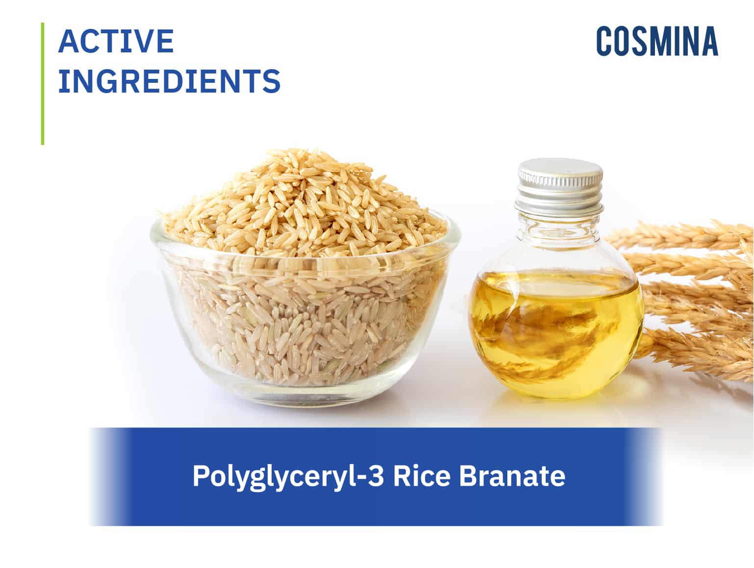 Polyglyceryl-3 Rice Branate