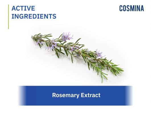 [:th]Rosemary Extract[:]